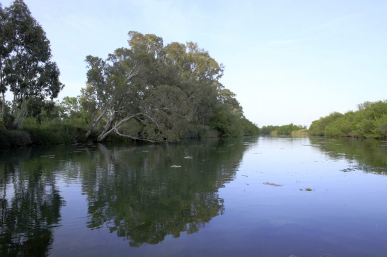A spasso per Siracusa: fiume
