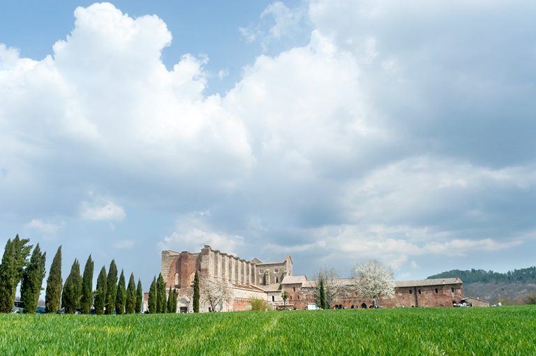Abbazia San Galgano: panoramica