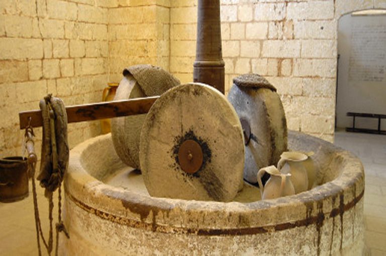 Abbazia Santa Maria di Cerrate: torchio