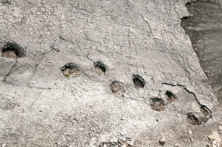 biotopo Lavini di Marco: impronte