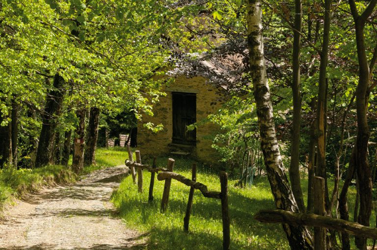 Alta Via Monti Lariani: baita Cagnao