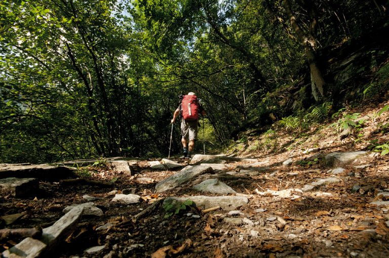 Alta Via Monti Lariani: lungo il sentiero