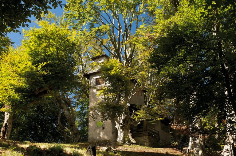 Alta Via Monti Lariani: roccolo Zerla
