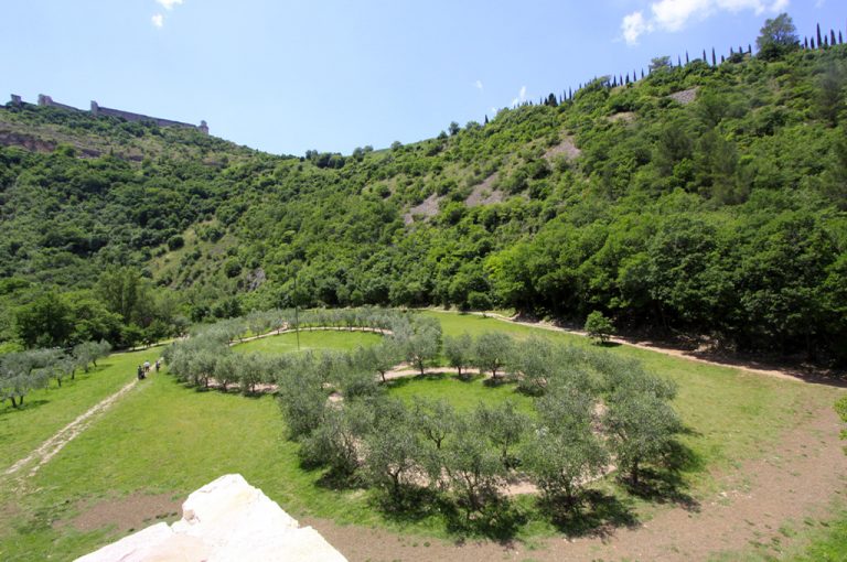 Assisi: bosco