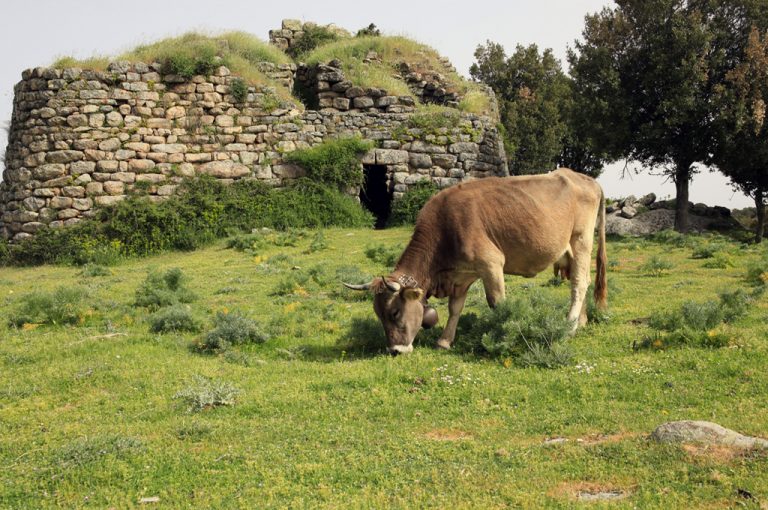 Bitti: nuraghe Loelle