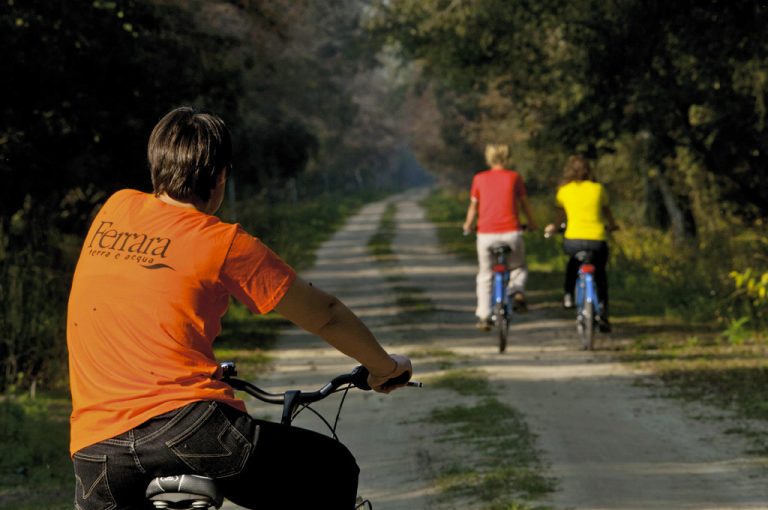 Bosco della Mesola: bici