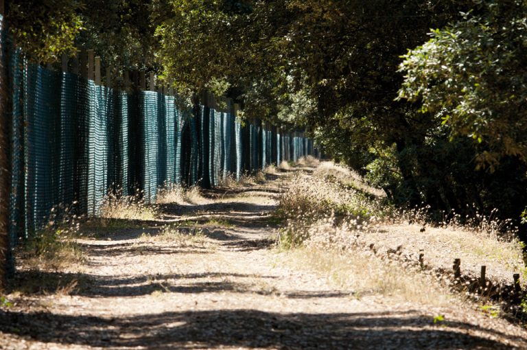 Bosco della Mesola: ciclabile