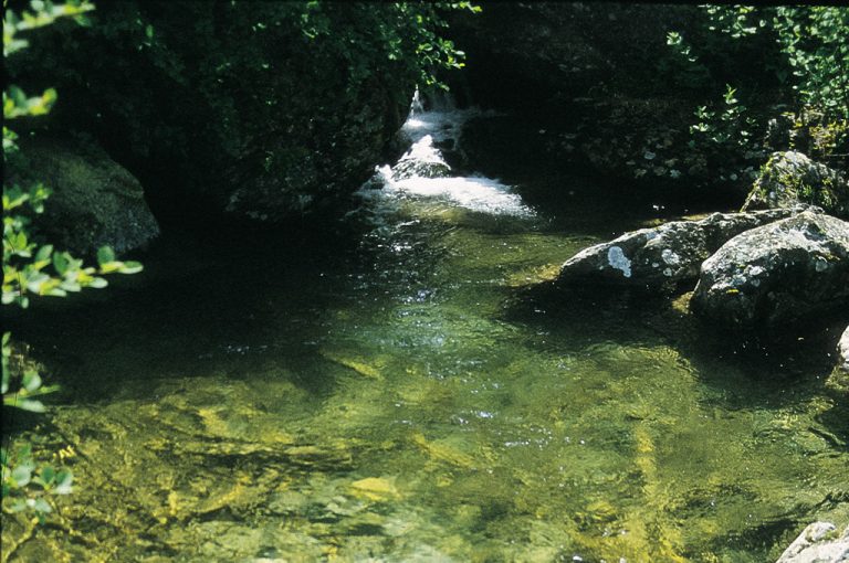 Cascate Rutor: pozze d'acqua
