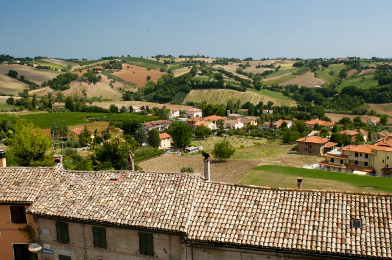 Corinaldo: colline