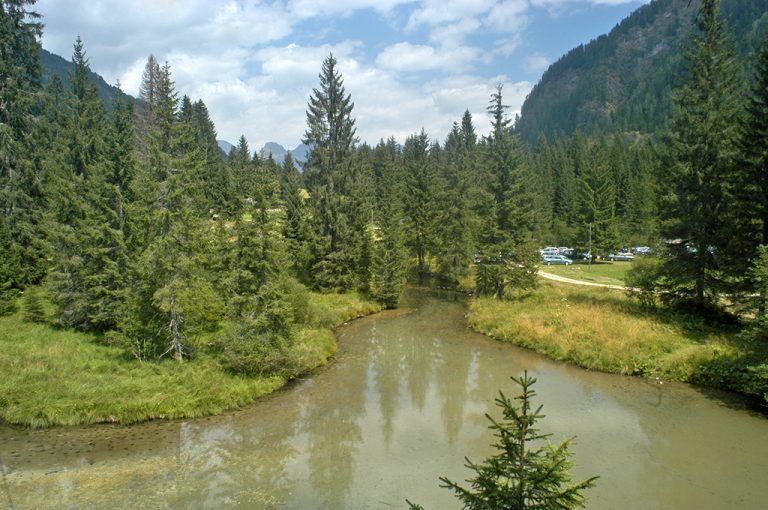 Dolomiti segrete: biotopo Gares