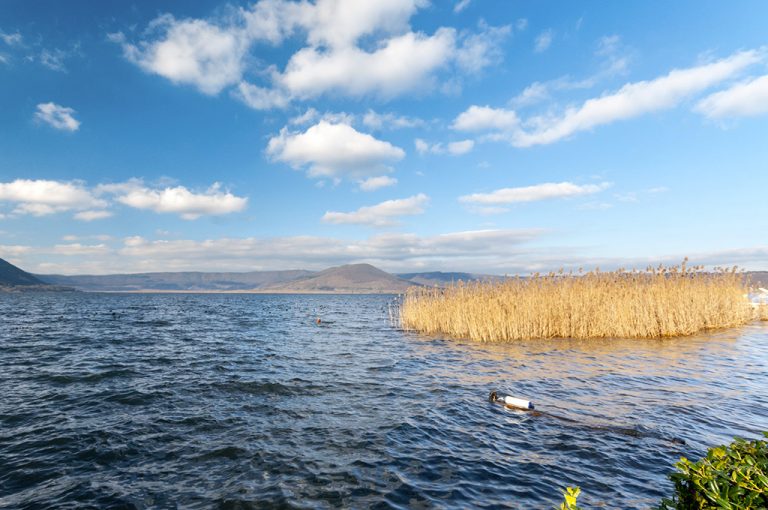 lago di Vico: monte Venere