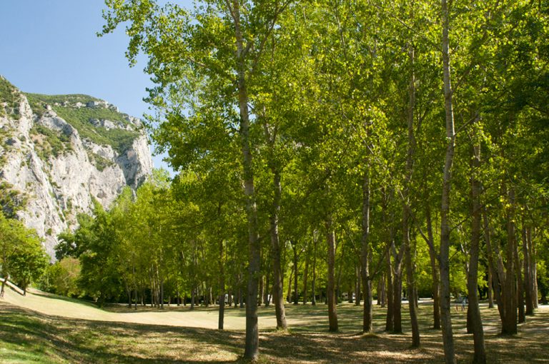 Gola del Furlo: parco