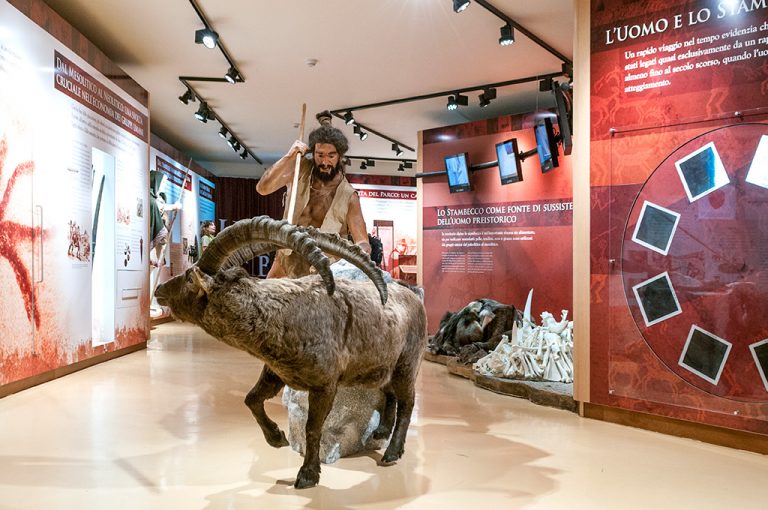 Ceresole Reale: museo stambecco