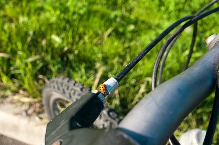 In bici lungo il Naviglio Pavese