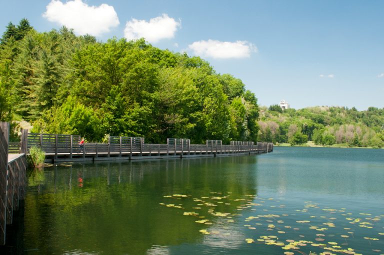 In bici o a piedi al lago di Comabbio