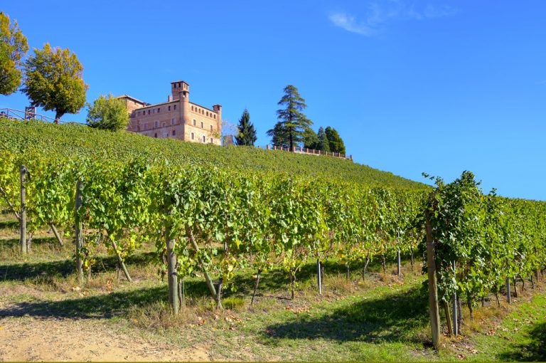 In camper nelle Langhe: Grinzane Cavour