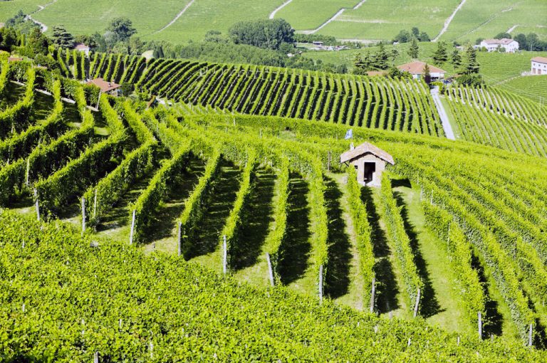 In camper nelle Langhe: paesaggio