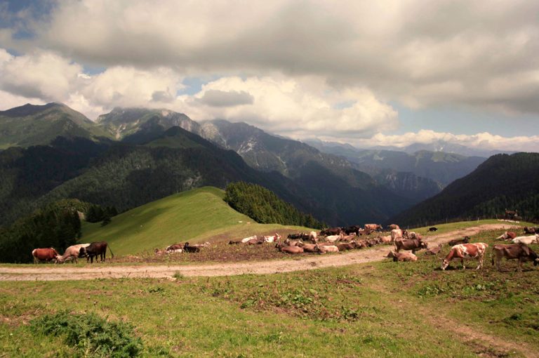 Passo San Marco moto