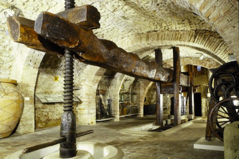 Torgiano: museo vino