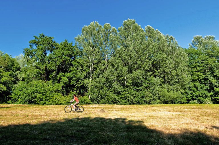 Laghi Avigliana: in bici nei prati