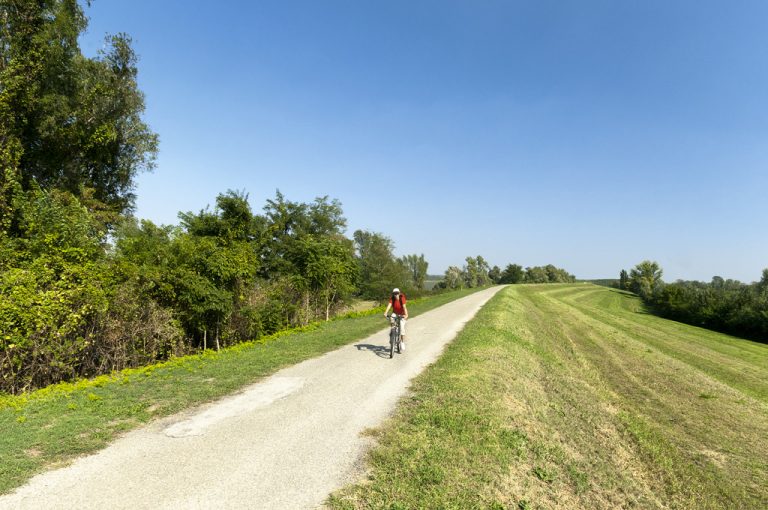 ciclabile sinistra po: ciclabile