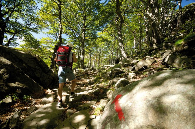 Parco Cento Laghi: in cammino