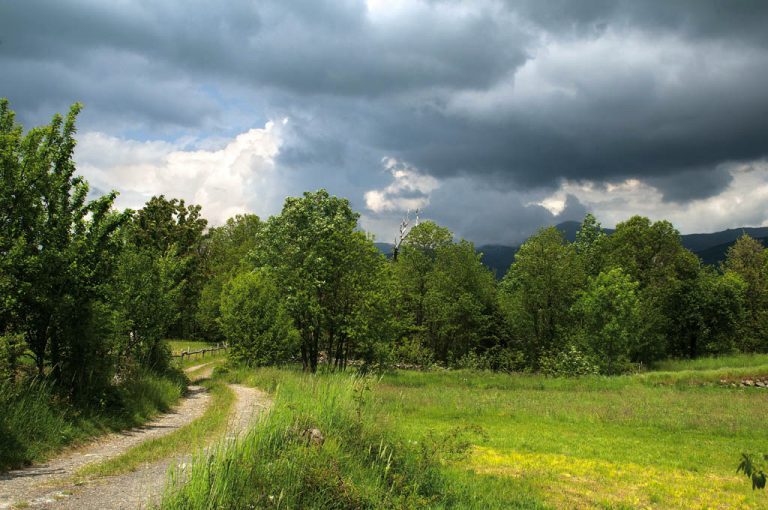 Parco Aveto: panorama