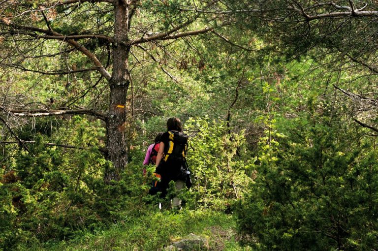 Parco Aveto: sentiero