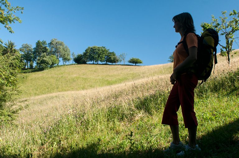 Passeggiata Prati Parini