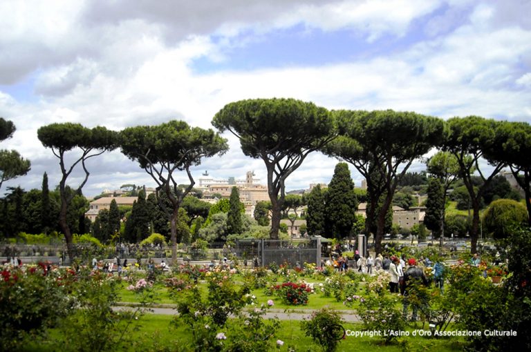 Roma segreta: roseto Avetino