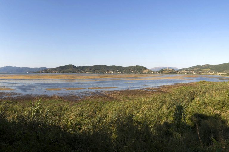 Lago Trasimeno: panoramica