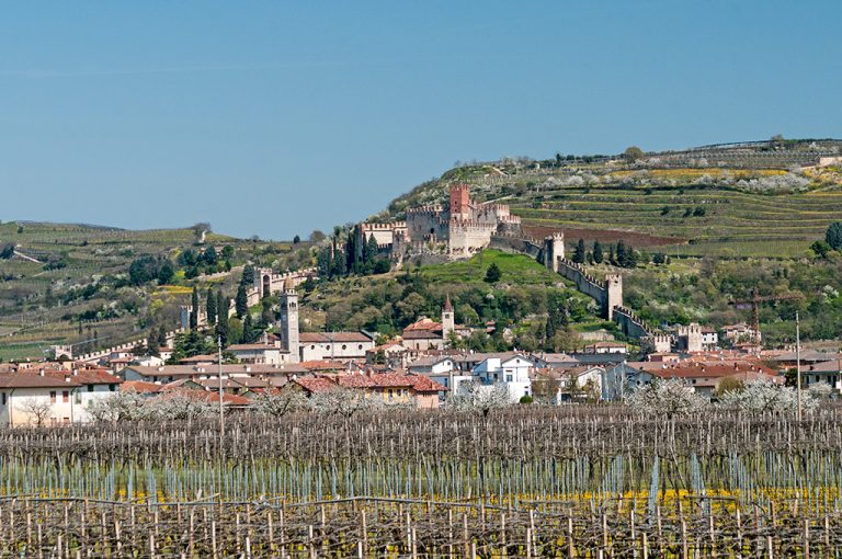Soave: panoramica