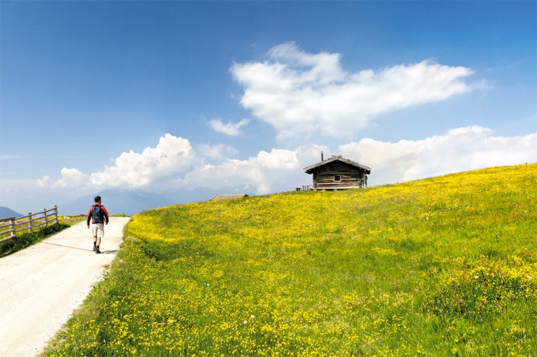 Val Pusteria: alpe Luson