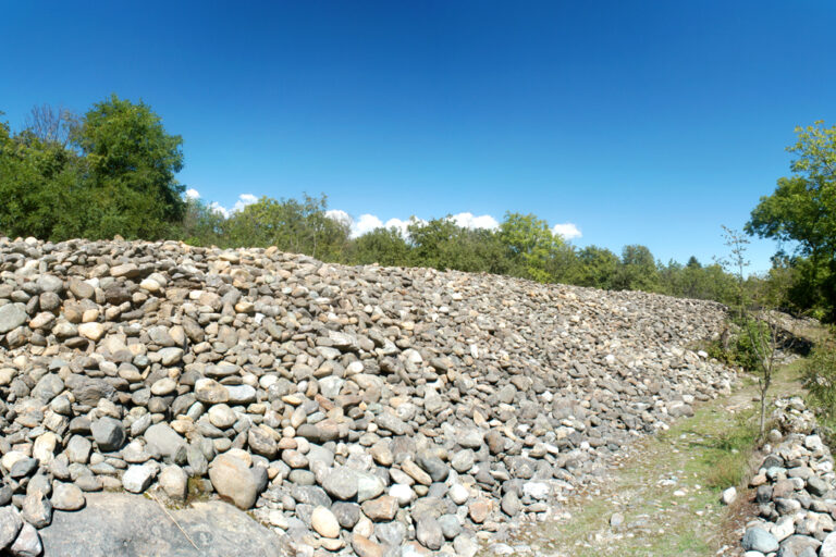 Riserva della Bessa: