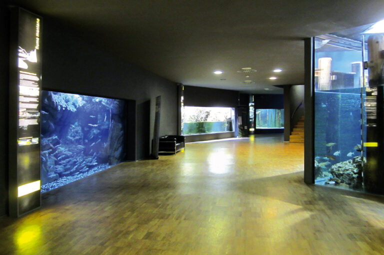Acquario civico milano: vasche