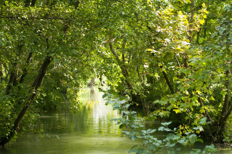 Sorgenti sile: fiume