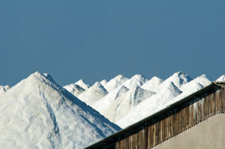 In bici da classe a cervia: saline di Cervia