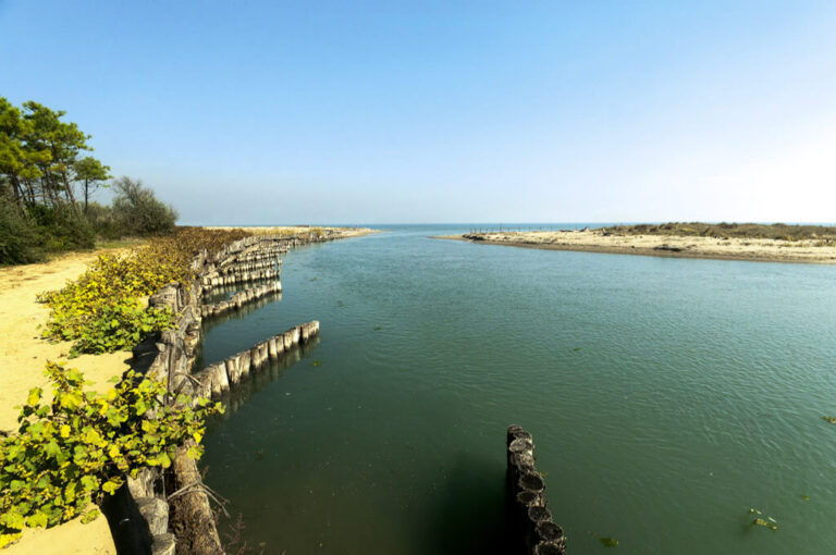 In bici da classe a cervia: foce del Bevano
