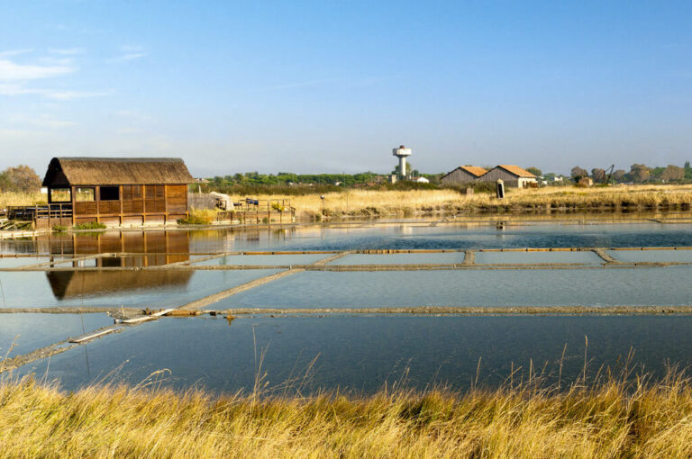 In bici da classe a cervia: saline di Cervia