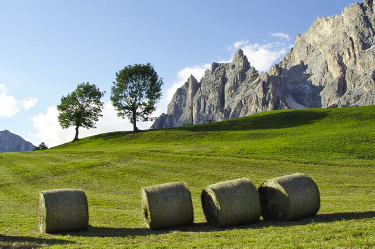 In moto da cortina d'ampezzo: prati