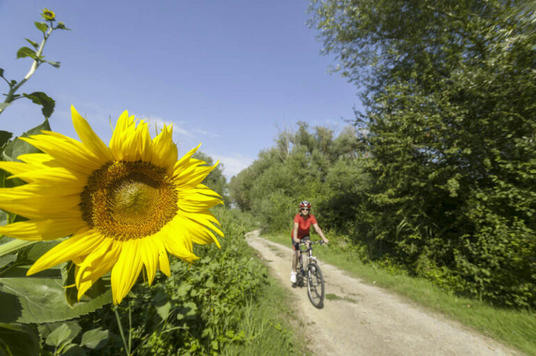 Un giro attorno a chiusi: in bici sul sentiero della bonifica