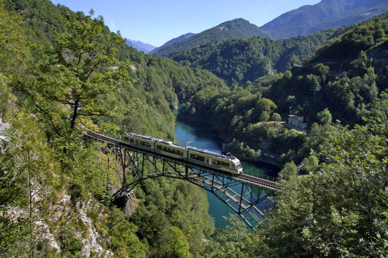 Battelli più treno lago maggiore express: ferrovia nei pressi del lago Palagnedra