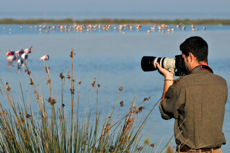 La natura selvaggia di boscoforte: birdwatching