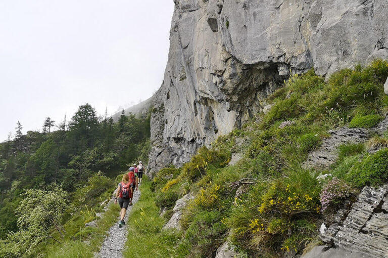 Il sentiero degli alpini: lungo il sentiero