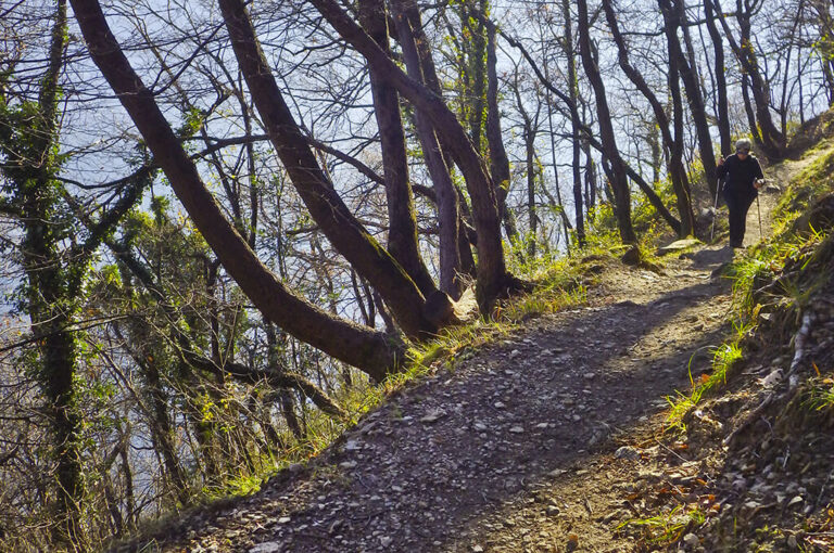 Lago di como il sentee di sort e la via verde lungo il sentiero