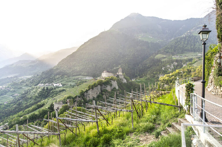 Tirolo alto adige vigneti