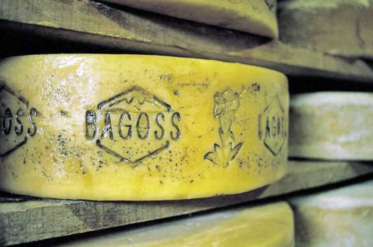 Cheese