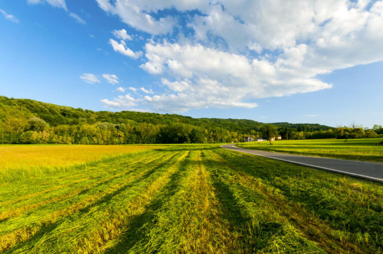 Parco boschi carrega 01