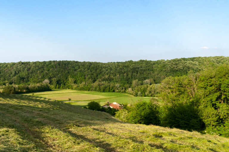 Parco boschi carrega 02