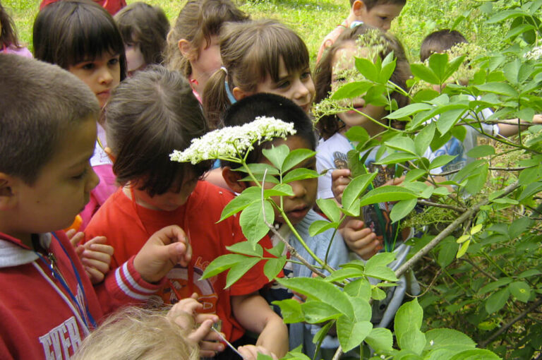 Parco boschi carrega attività scuole